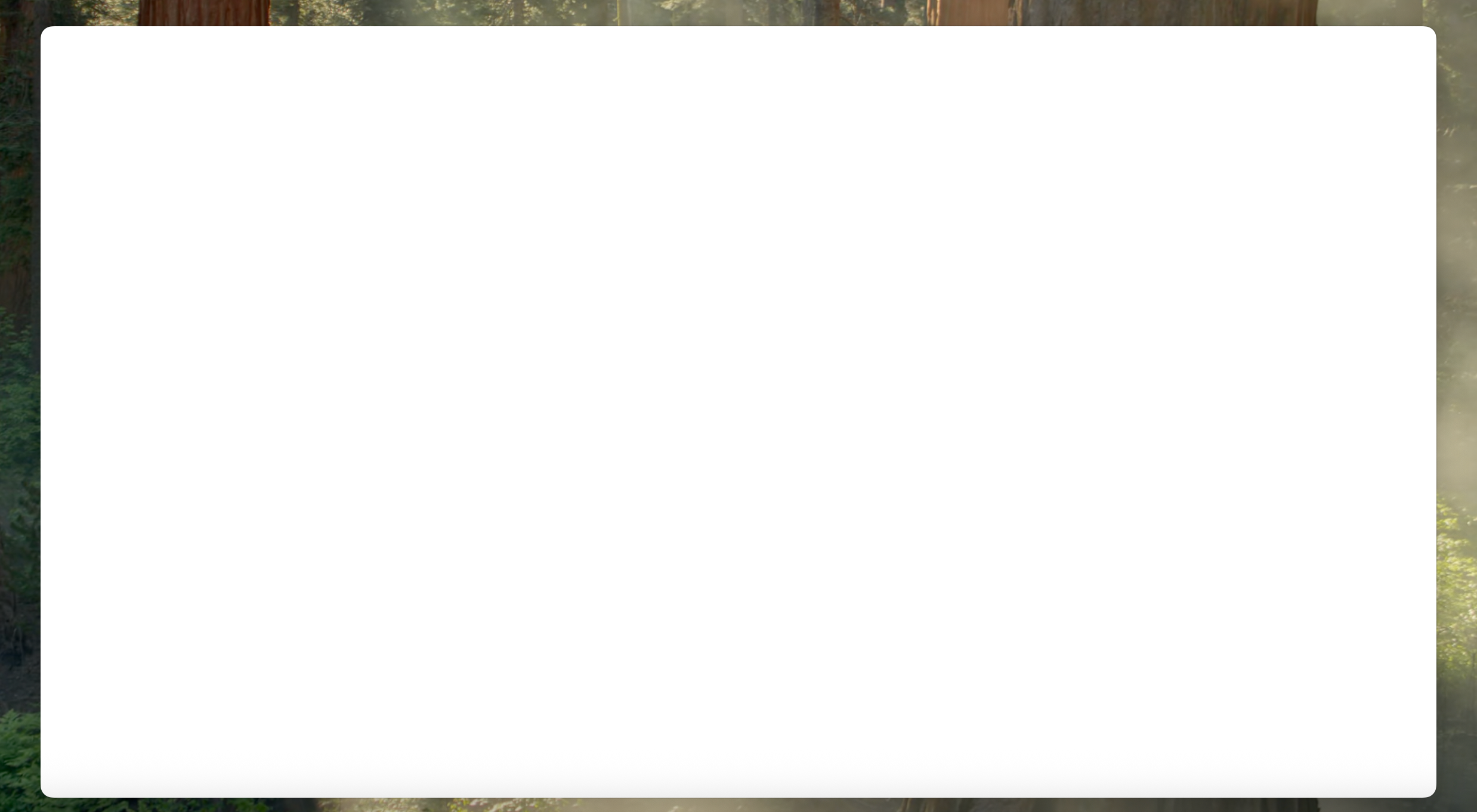 Remove the title bar